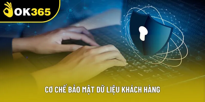 Cơ chế an ninh dữ liệu của hội viên