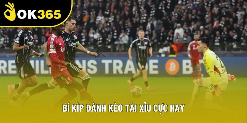 Mẹo bet kèo tài xỉu cực chuẩn từ chuyên gia