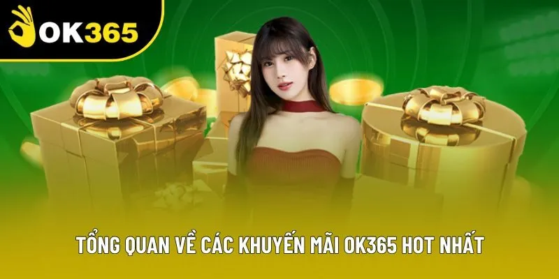 Tổng quan về các khuyến mãi OK365 hot nhất
