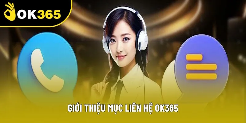 Giới thiệu hệ thống liên hệ OK365 