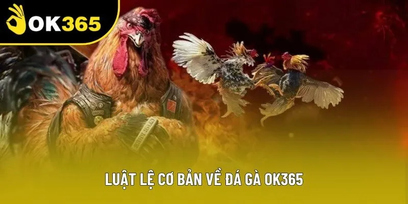 Luật lệ cơ bản về đá gà OK365