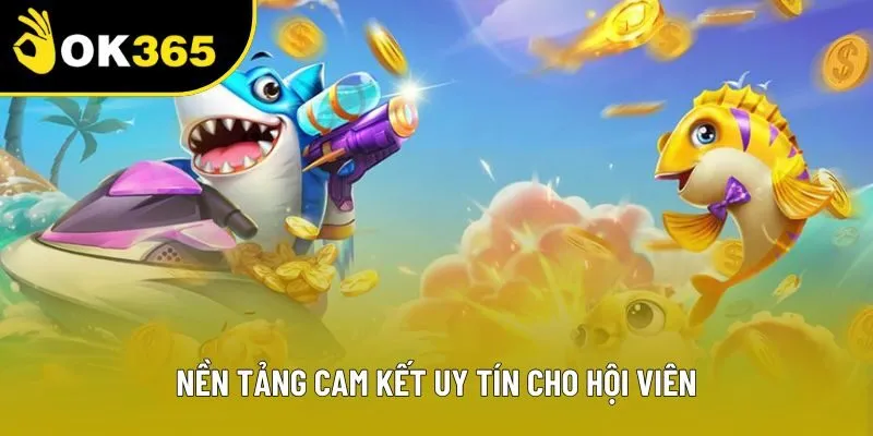 Nền tảng cam kết uy tín cho hội viên