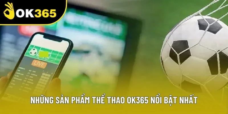 Những sản phẩm thể thao OK365 nổi bật nhất