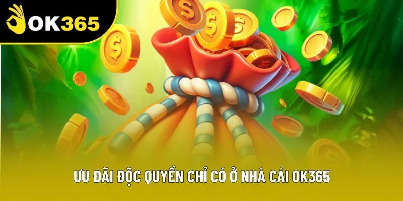 Ưu đãi độc quyền chỉ có ở nhà cái OK365