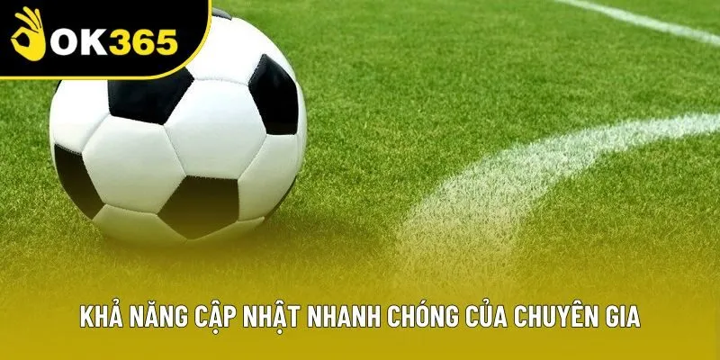 Khả năng cập nhật nhanh chóng của chuyên gia